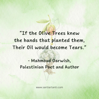 Olive Tree Quote