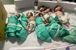 31 Bayi Prematur Dipindahkan dari RS Al Shifa Gaza ke Mesir
