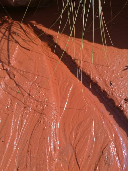 Orange river mud with grooves and channels filled with water