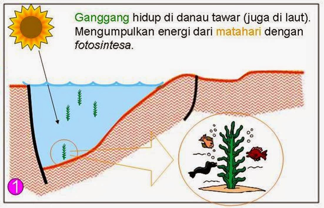 Asal Usul Minyak Bumi