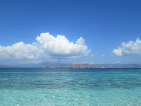 labuanbajo komodo rinca indonesia