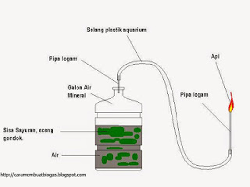 CARA MEMBUAT BIOGAS