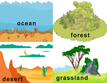 LEARN ABOUT HABITAT AND TYPES OF HABITAT