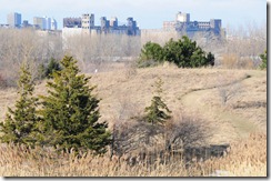 Tifft_mound_skyline