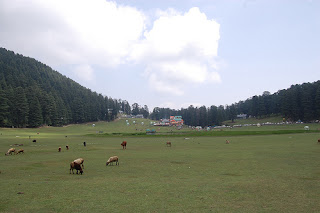 Khajjiar Himachal Pradesh