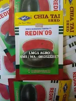 jual benih, semangka inul, semangka hibrida, tanaman semangka, toko pertanian, lmga agro