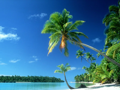 beautiful beaches wallpaper. tropical beach wallpaper, tropical beaches wallpaper, tropical pictures 