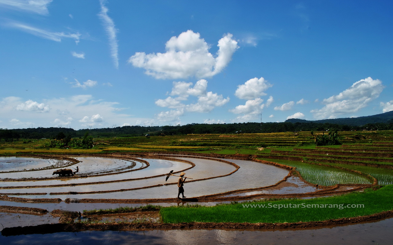 Indahnya Pemandangan Alam di Satu Sudut Kota Semarang