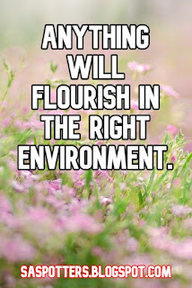 Anything will flourish in the right environment.