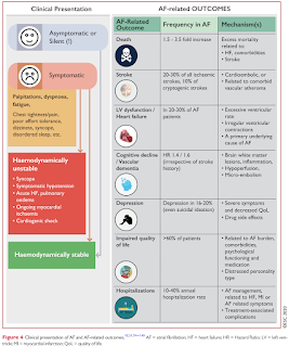 Atrial Fibrillation Related Outcomes