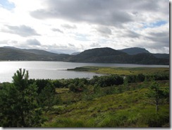 IMG_6774
