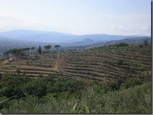 P8300009