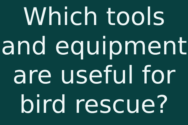 Which tools and equipment are useful for bird rescue?