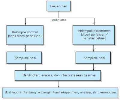 Metode Ilmiah Biologi, Pengertian, Contoh & Langkah 