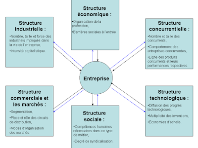 TSDI: l'Entreprise et son Environnement