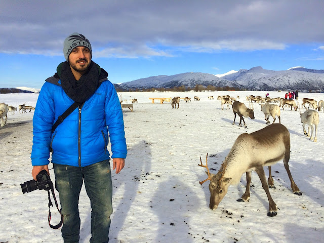 Tromso Arctic Reindeer Experience