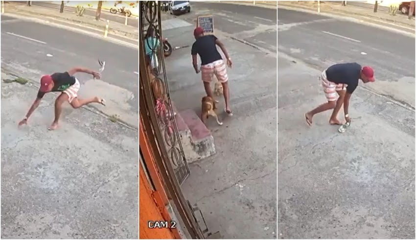 Criminoso tropeça, perde chinela, é mordido por cão e desiste de assalto em Fortaleza