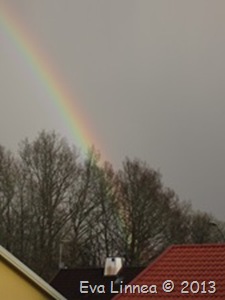 IMG_5568