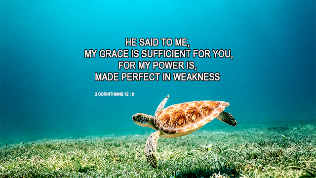 He said to me, my grace is sufficient for you | Free download Facebook Cover Images | Religious facebook Cover | Christian Facebook Cover  