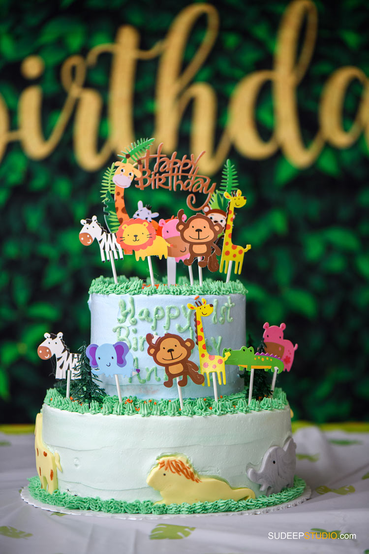 First Birthday Party Decorations Animal Safari Jungle Theme in Ann Arbor, Saline, Novi by SudeepStudio.com Ann Arbor Birthday Party Photographer