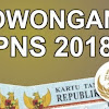 Info CPN 2018 - 134 Pemda Tidak Bisa Mengajukan Tambahan Formasi Karena Alasan Ini