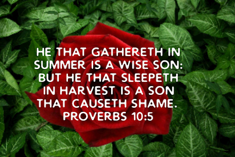 Photo of Bible inscription from Proverbs 10:5