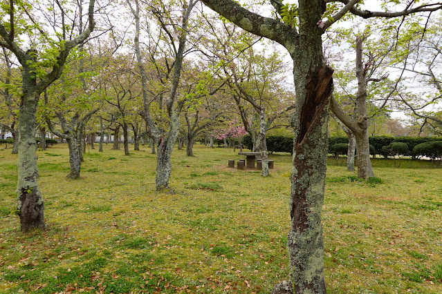 鳥取県米子市久米町　湊山公園