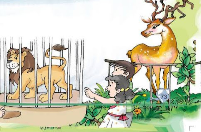 Zoo Manners class 2 NCERT Solutions