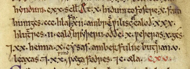 Κατάλογος τροφίμων που συντάχθηκε κατά τη διάρκεια της βασιλείας του βασιλιά Ine του Wessex (περίπου 688-726), μέρος του Textus Roffensis. [Credit: Chapter of Rochester Cathedral]