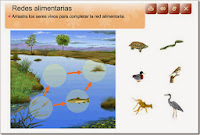 http://www.editorialteide.es/elearning/Primaria.asp?IdJuego=1705&IdTipoJuego=2