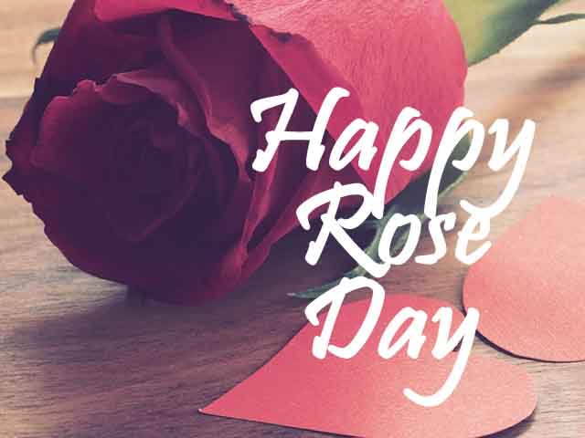 happy rose day my love images