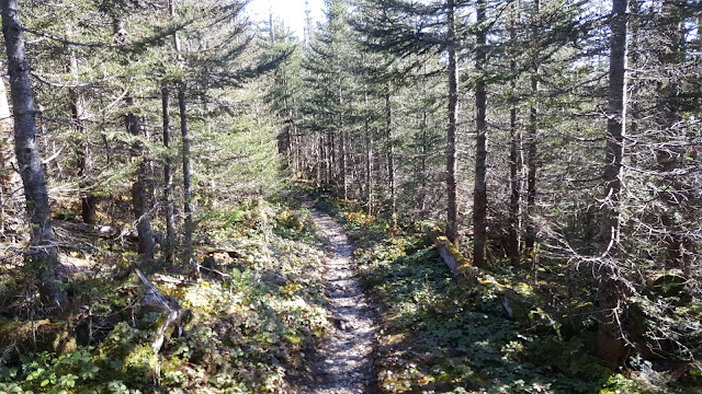 Sentier Pic du Brûlé