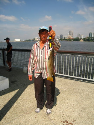 Squaretail Mullet also known as Chow Orh 草乌, 鯔魚 or Belanak Caught By Ah Lee weighing 2kg plus at Woodland Jetty Fishing Hotspots was created to share with those who are interested in fishing on tips and type of fishes caught around Woodland Jetty Fishing Hotspots.