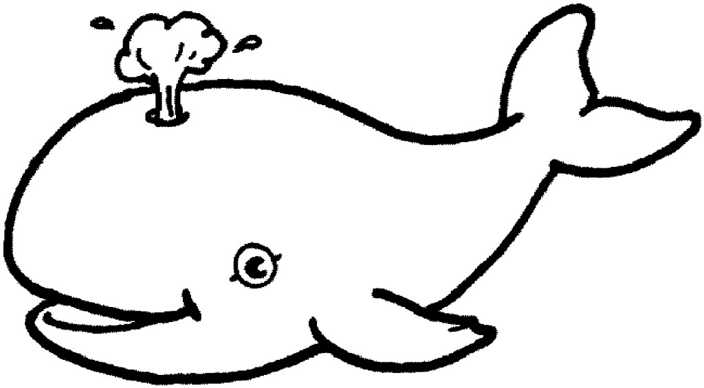 Kumpulan Sketsa Gambar Mewarnai Binatang Laut Untuk Anak 