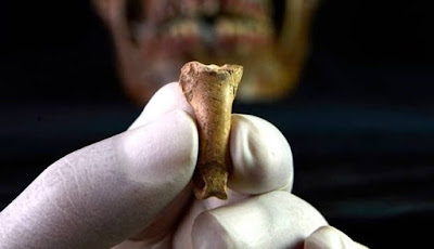 Kalung Terakhir Neanderthal Digali Di Spanyol