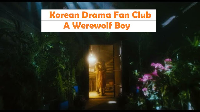 A werewolf boy, Korean Drama Fan club, korean drama world, Korean famous movies, Korean high rated movies, Korean popular movies, most watched korean movie, how to download korean movie with english subtitles