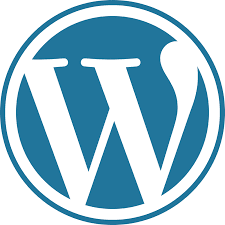 Are you a newbie? Having little or no knowledge on blogging on wordpress, this article hovers on How to update your word press blog. So to get the best out of this article, stay on this tab as we dive right.