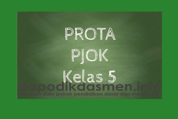 Prota PJOK Kelas 5 Semester 1 dan 2