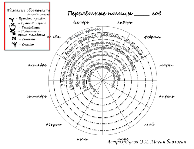 условные обозначения, диаграмма, перелетные волны, птицы