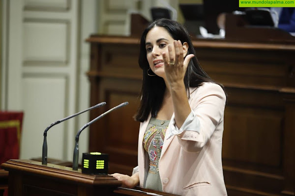 Vidina Espino recrimina a Torres que se haya convertido en la coartada de un Gobierno que no entiende la realidad de Canarias