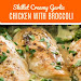 SKILLET CREAMY GARLIC CHICKEN WITH BROCCOLI