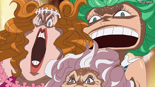 ワンピースアニメ 女ヶ島編 417話 サンダーソニア マリーゴールド | ONE PIECE Episode 417