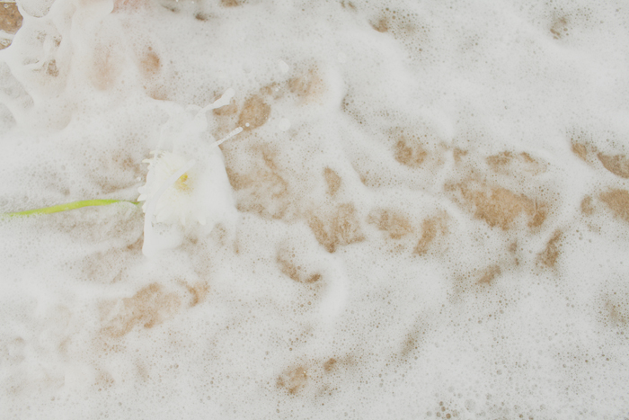 flower in ocean