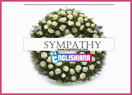 5 Contoh Dialog Bahasa Inggris Expressing Sympathy dan 