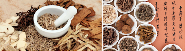 Chinese Medicine for Arthritis