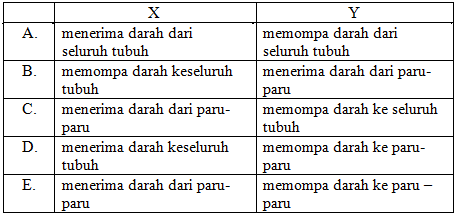 Contoh Soal USBN Biologi SMA dan Kunci Jawabannya Part2 Terbaru