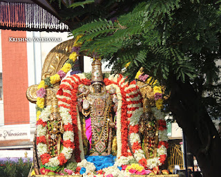 Ippasi Thirumoolam,Sattrumurai, Manavala Maamunigal,Purappadu,2016, Video, Divya Prabhandam,Triplicane,Thiruvallikeni,Utsavam,