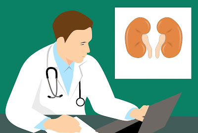 Your Creatinine levels define your kidney health