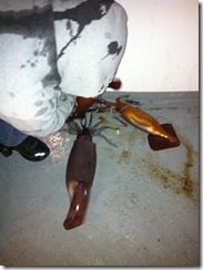 squid_on_the_deck