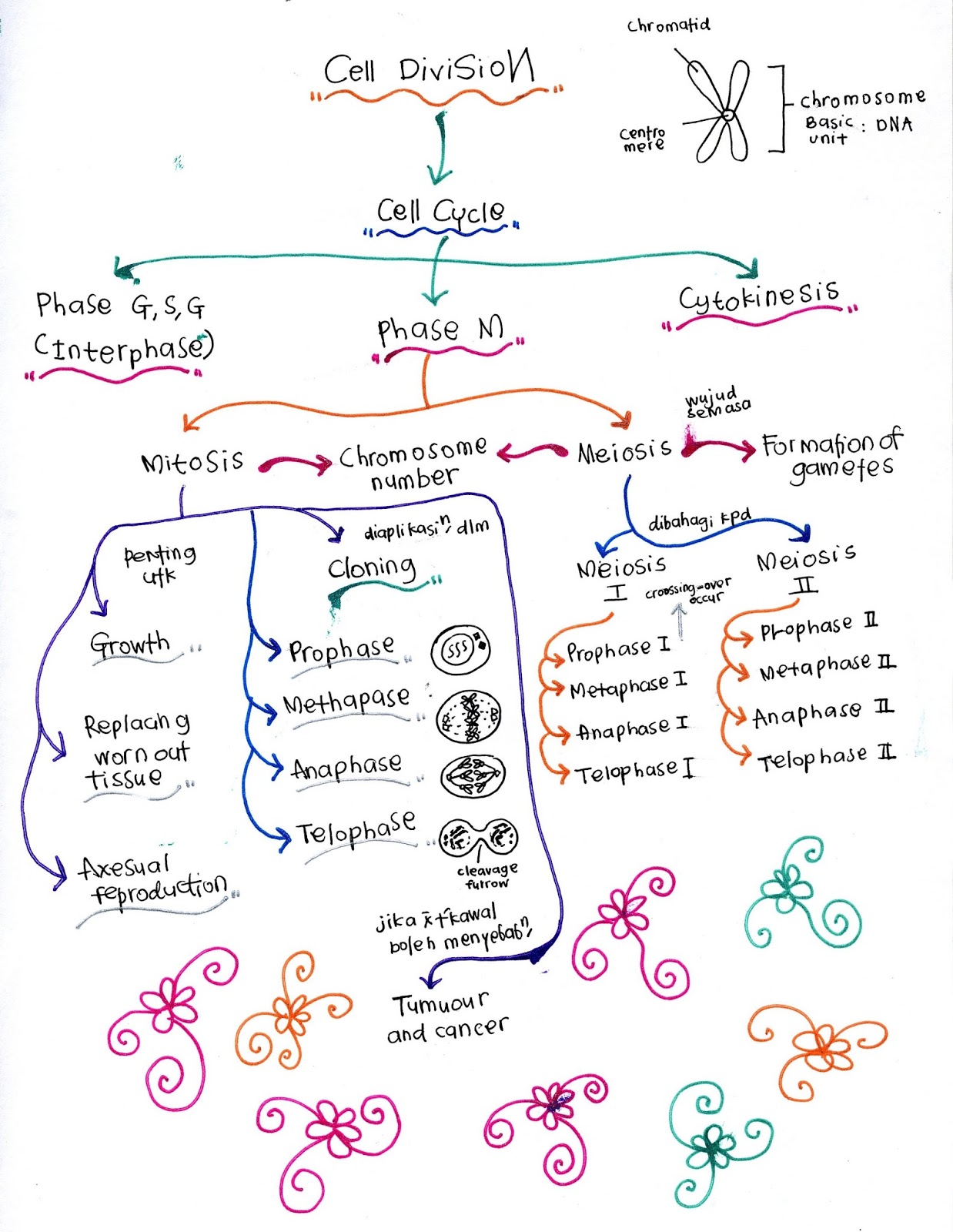 Bijak Tekun: Nota Kreatif Biologi Tingkatan 4 : Bab 5